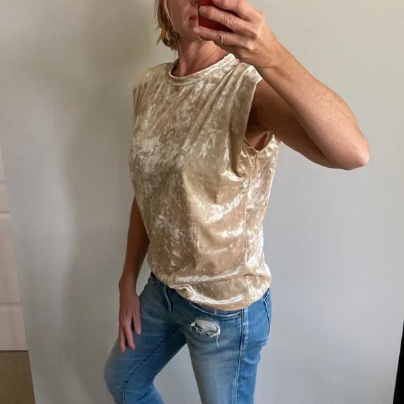 Beige Color Velvet Sleeveless Top - Picture 7 of 10